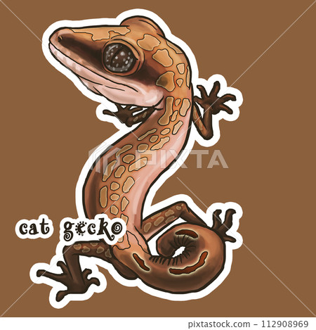cat gecko cat gecko cat gecko cat gecko 112908969