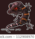 洞穴守宮 cave gecko 112908970