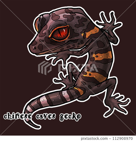 洞穴守宮 cave gecko 112908970
