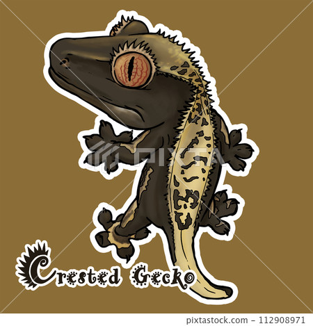 睫角守宮 crested gecko 112908971