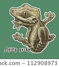 飛蹼守宮 flying gecko 112908973