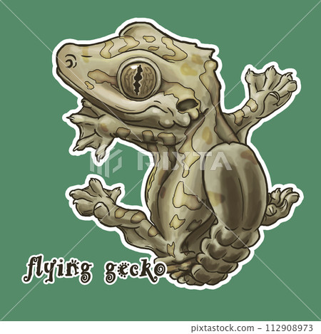 飛蹼守宮 flying gecko 飛蹼守宮 flying gecko 112908973