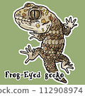 蛙眼守宮 frog-eyed gecko 112908974