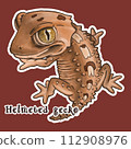 頭盔守宮 Helmeted gecko 112908976