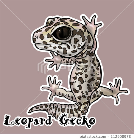 Leopard Gecko Leopard Gecko 112908978