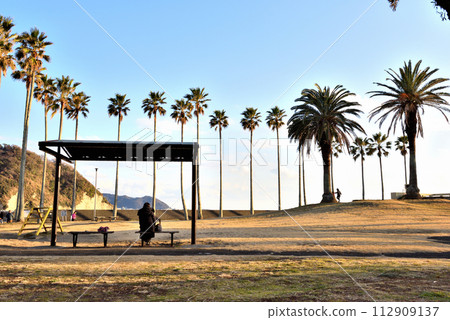A park with lovely palm trees in Zushi A park with lovely palm trees in Zushi 112909137
