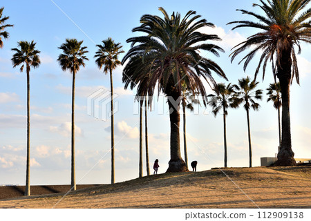A park with lovely palm trees in Zushi A park with lovely palm trees in Zushi 112909138