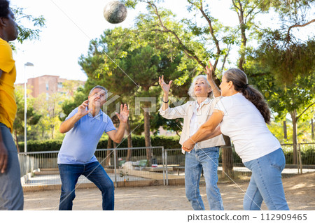 Joyful multiracial group of mature adult people playing volleyball game outdoors 112909465