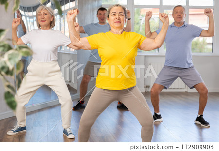 Group of aged people rehearsing sports dance in dance class 112909903