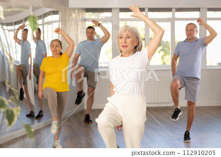 Group of aged people rehearsing sports dance in dance class 112910205