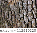 Tree bark, tree close-up 112910225