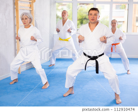 Diligent elderly women and men attendee of karate classes practicing kata standing in row with others in sports gym Diligent elderly women and men attendee of karate classes practicing kata standing in row with others in sports gym 112910474