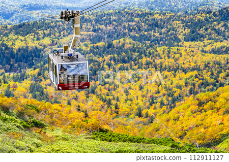 Asahidake in autumn leaves, Hokkaido 112911127