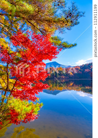 Autumn leaves at Takaragaike and Mt. Hiei, Kyoto Autumn leaves at Takaragaike and Mt. Hiei, Kyoto 112911199