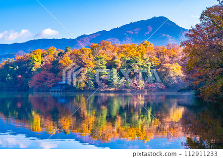 京都寶池與比叡山的秋葉 京都寶池與比叡山的秋葉 112911233