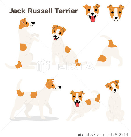 Happy Jack Russell Terrier cartoon illustration 112912364