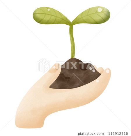 Hand holding seedling growing Hand holding seedling growing 112912516