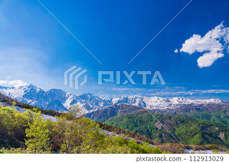 （長野縣）從八方尾根/北根高原看到的白馬山脈 112913029