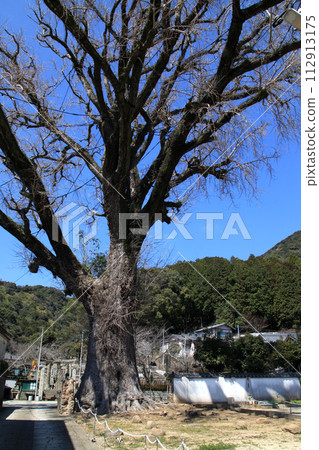 Arita Town, Saga Prefecture - Walking course in the quaint pottery town "Oiichou" 112913175