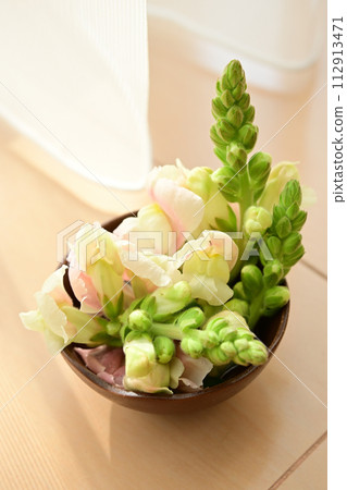 stock stock 112913471