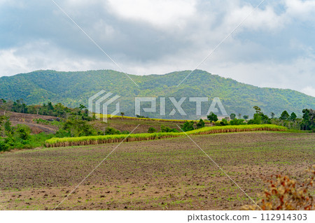 Vietnamese landscape.  112914303