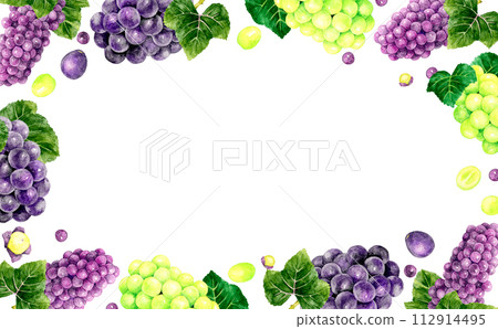 葡萄框架（巨峰，德拉瓦州，閃耀馬斯喀特）手繪水果水彩插畫背景素材 112914495