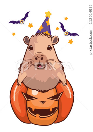 Funny capybara sit in pumpkin Funny capybara sit in pumpkin 112914953