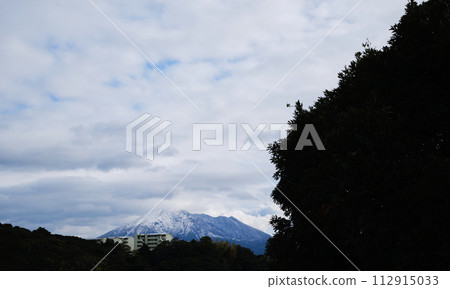 森林深處看到的雪櫻島 森林深處看到的雪櫻島 112915033