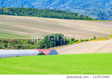 北海道初秋的美瑛山 112915069