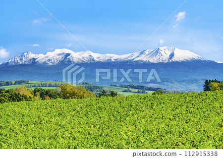 Hokkaido, Biei hill and snow-capped Daisetsuzan in early autumn 112915338