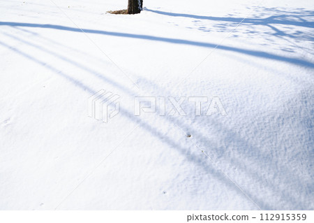 蓬鬆的新鮮雪的形象 蓬鬆的新鮮雪的形象 112915359
