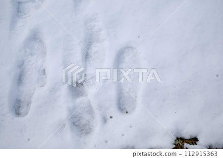 白雪中的腳印 白雪中的腳印 112915363