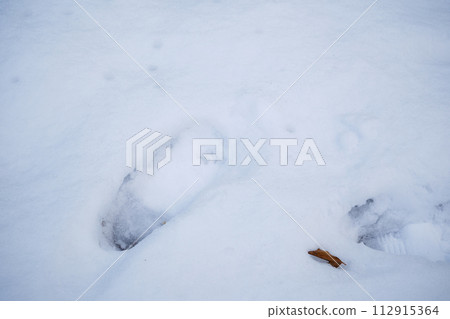 雪地裡孩子們的腳印 雪地裡孩子們的腳印 112915364