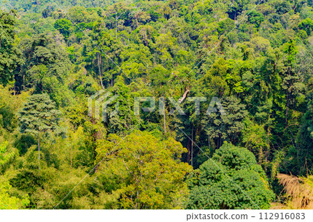 Mountain landscape.  112916083