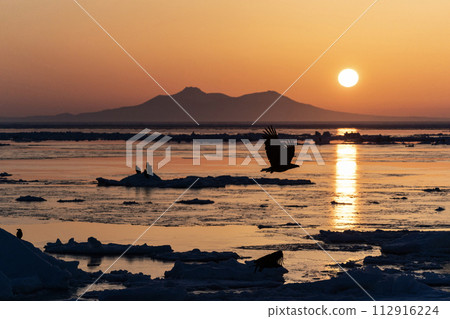 Sunrise and drift ice from Kunashir Island 112916224