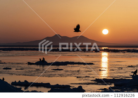 Sunrise and drift ice from Kunashir Island 112916226