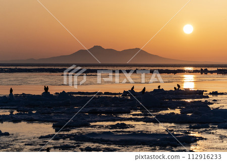 Sunrise and drift ice from Kunashir Island 112916233