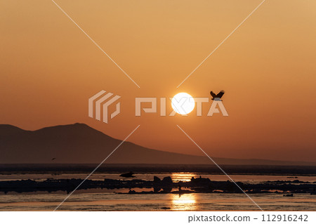 國後島的日出和流冰 112916242