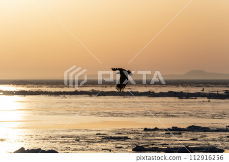 Sunrise and drift ice from Kunashir Island Sunrise and drift ice from Kunashir Island 112916256