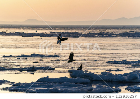 國後島的日出和流冰 112916257
