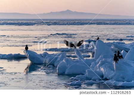 國後島的日出和流冰 國後島的日出和流冰 112916263