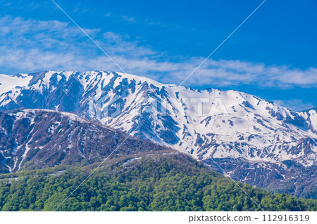 (Nagano Prefecture) Hakuba Mountain Range seen from Happo-one/Kitaone Plateau 112916319