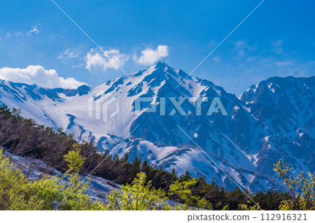 (Nagano Prefecture) Hakuba Mountain Range seen from Happo-one/Kitaone Plateau (Nagano Prefecture) Hakuba Mountain Range seen from Happo-one/Kitaone Plateau 112916321