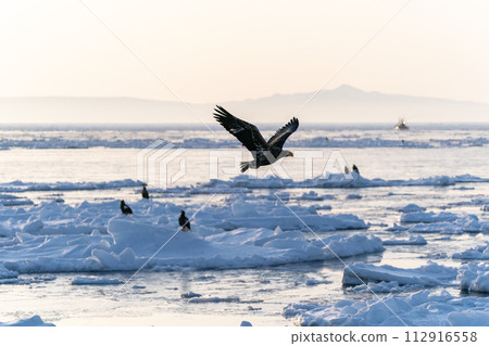Sunrise and drift ice from Kunashir Island 112916558