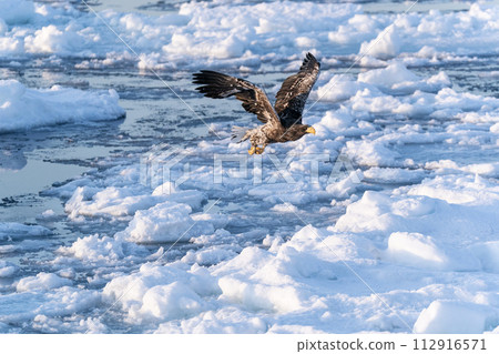 國後島的日出和流冰 112916571