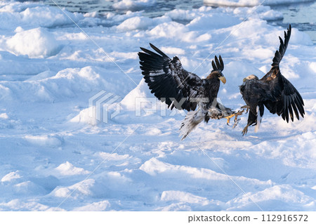 國後島的日出和流冰 112916572