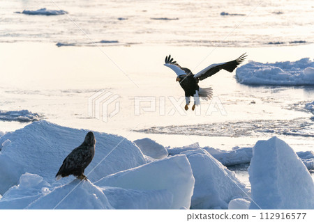 Sunrise and drift ice from Kunashir Island 112916577