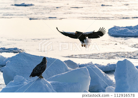 國後島的日出和流冰 112916578