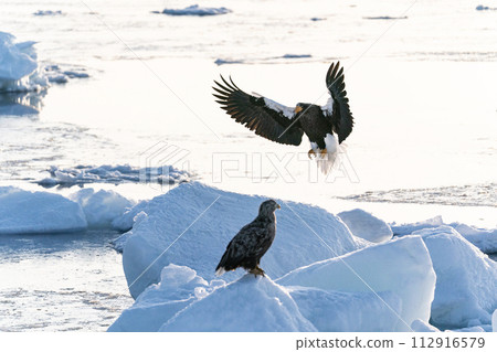 國後島的日出和流冰 112916579