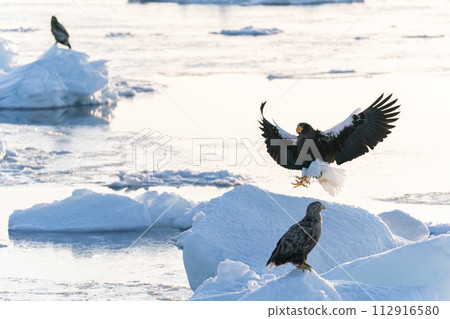 Sunrise and drift ice from Kunashir Island 112916580